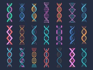 Teachers Map Their DNA to Challenge Discrimination